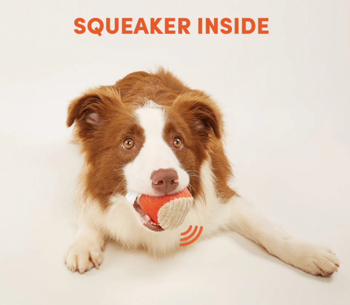 Hide & Seek Toy Bin Dog Toy | Ball, Bone, Rope & Puzzle Box