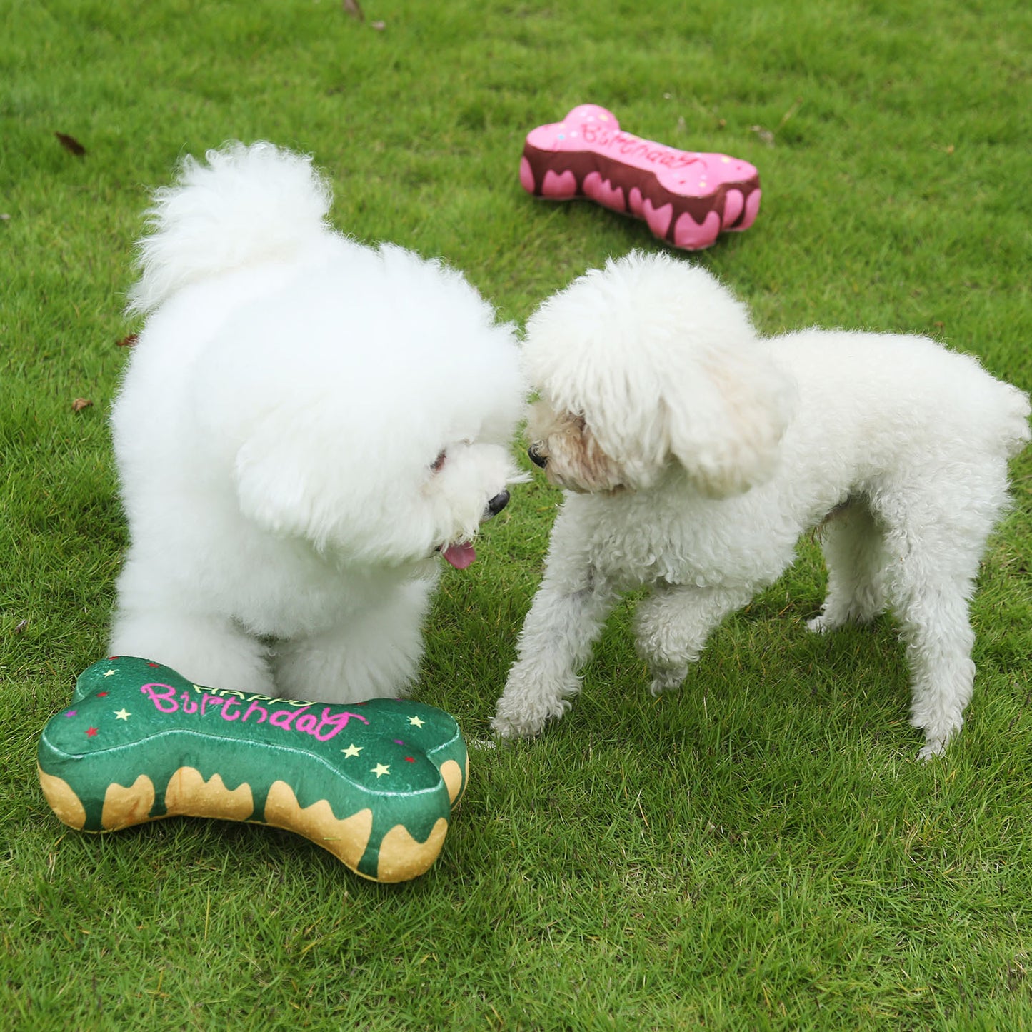 Birthday Party Dog Toy Collection