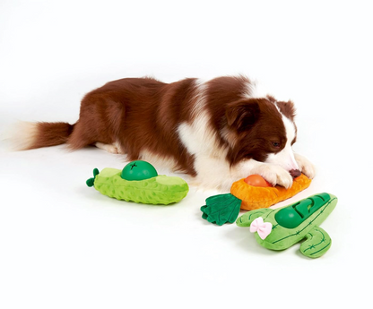 Veggie Lover | Cute Carrot | Treat Squeaky Dog Toy