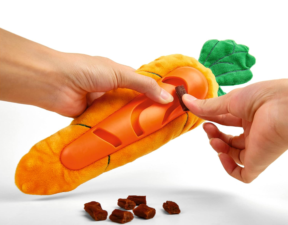 Veggie Lover | Cute Carrot | Treat Squeaky Dog Toy