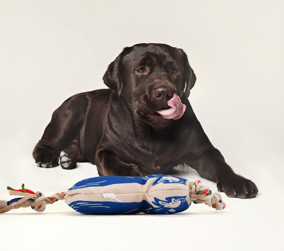 Flossy Rope Koala | Dog Rope Toy | Flosses Teeth