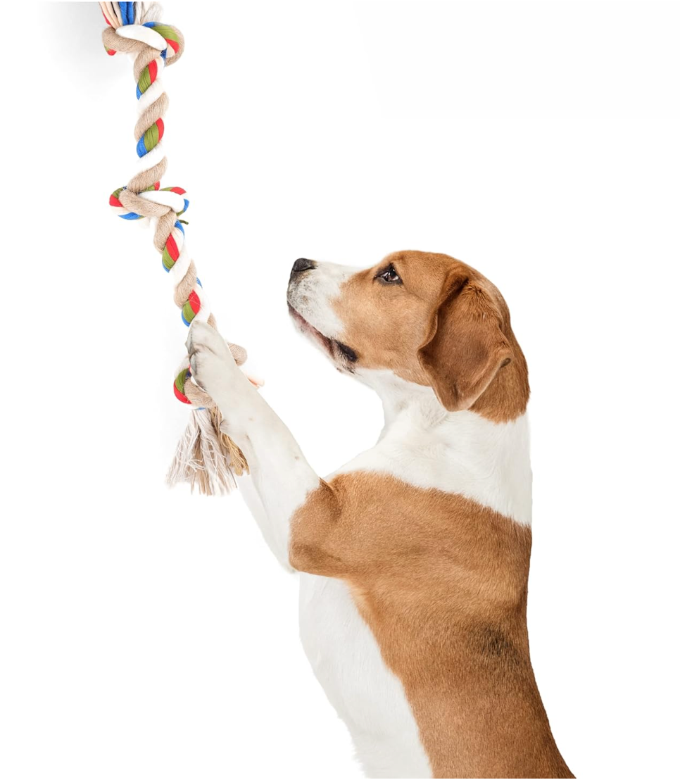 Teething Flossy 3 Knots Rope | Dog Toys