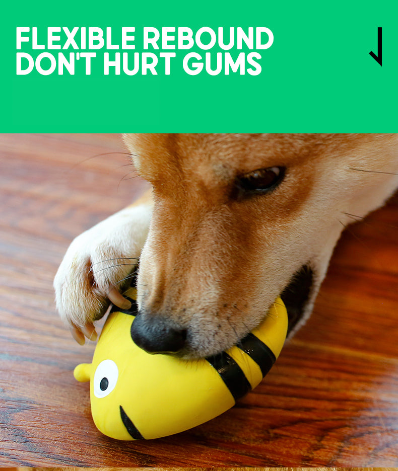 Fruit Animals | Carrot Fish | Dog Toy