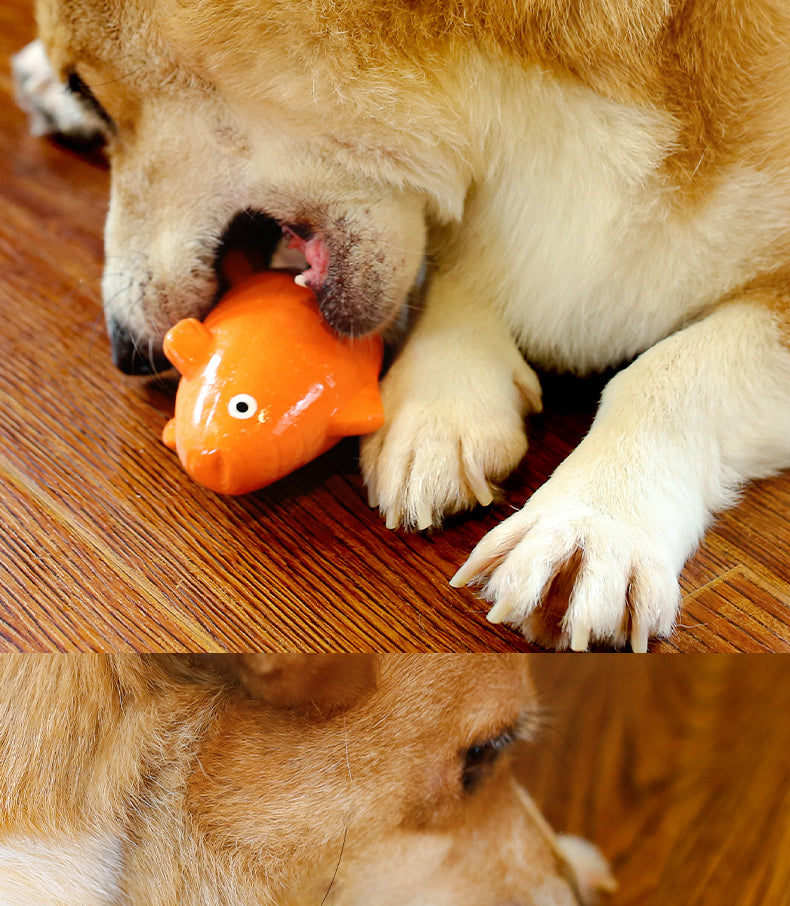 Fruit Animals | Carrot Fish | Dog Toy