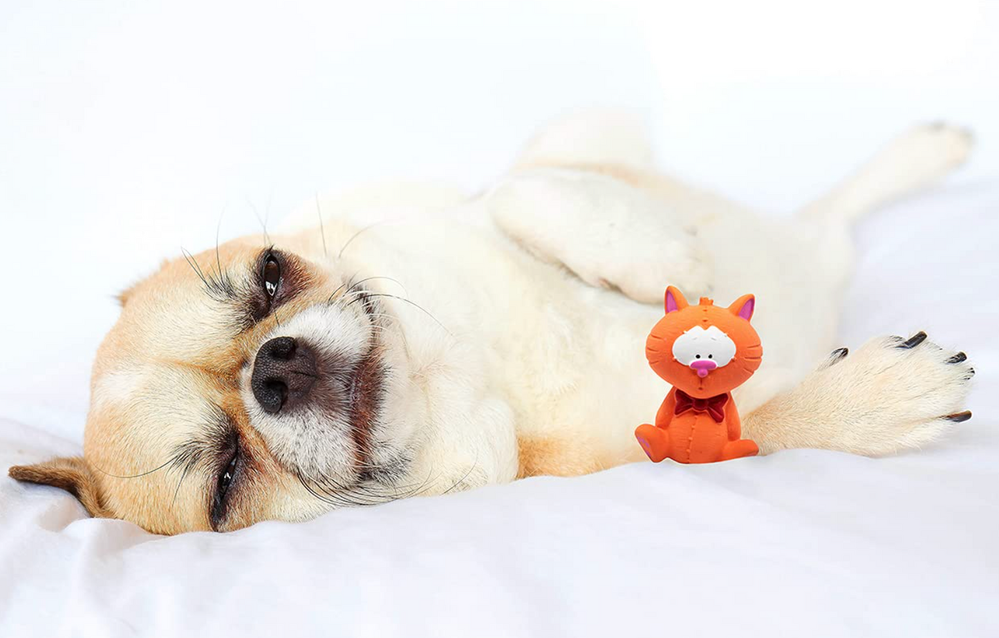 Puppy Teething Toy | Latex Bi Small Cat Squeakers Dog Toy