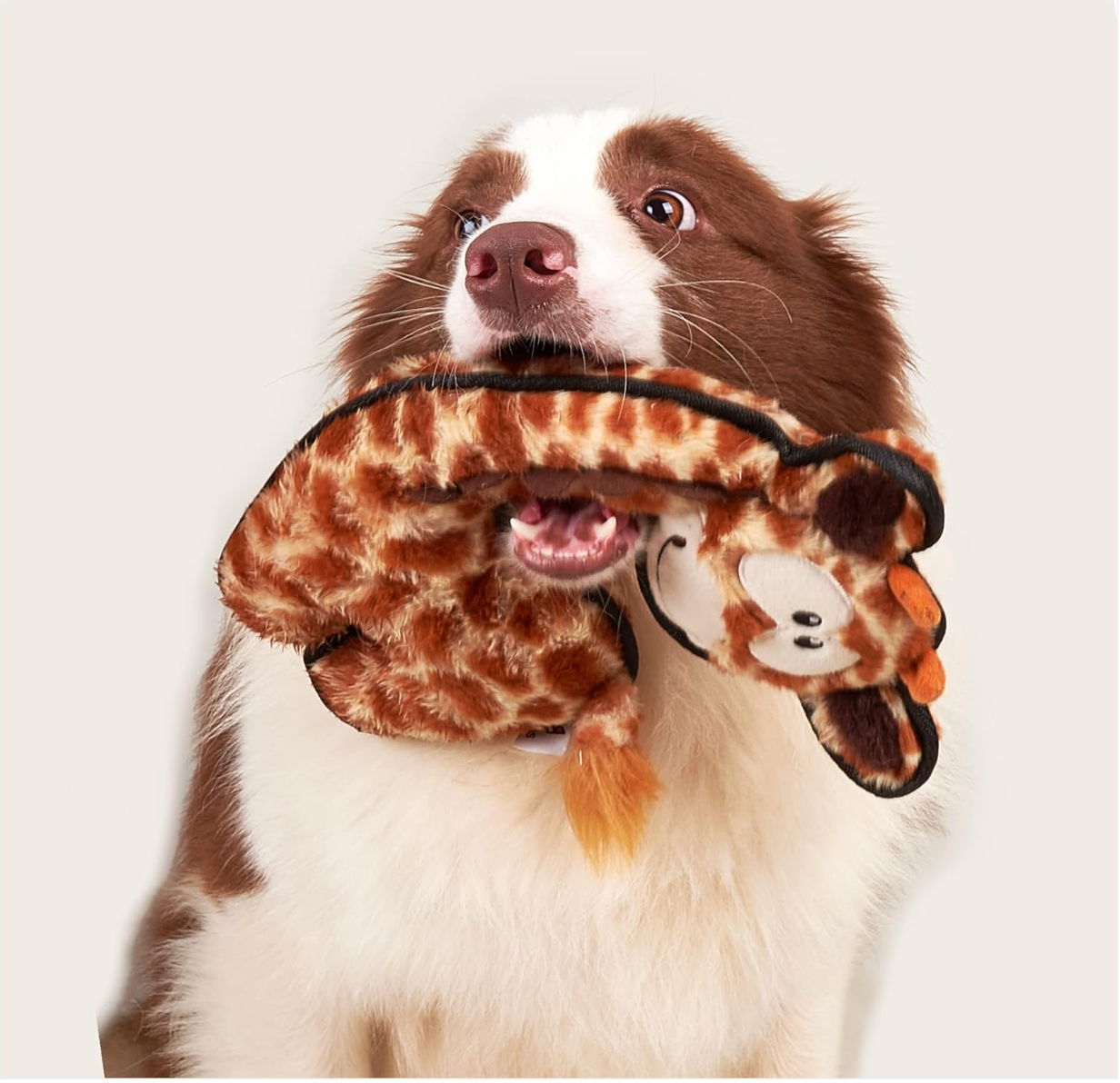 Safari Line Dog Toy Collection