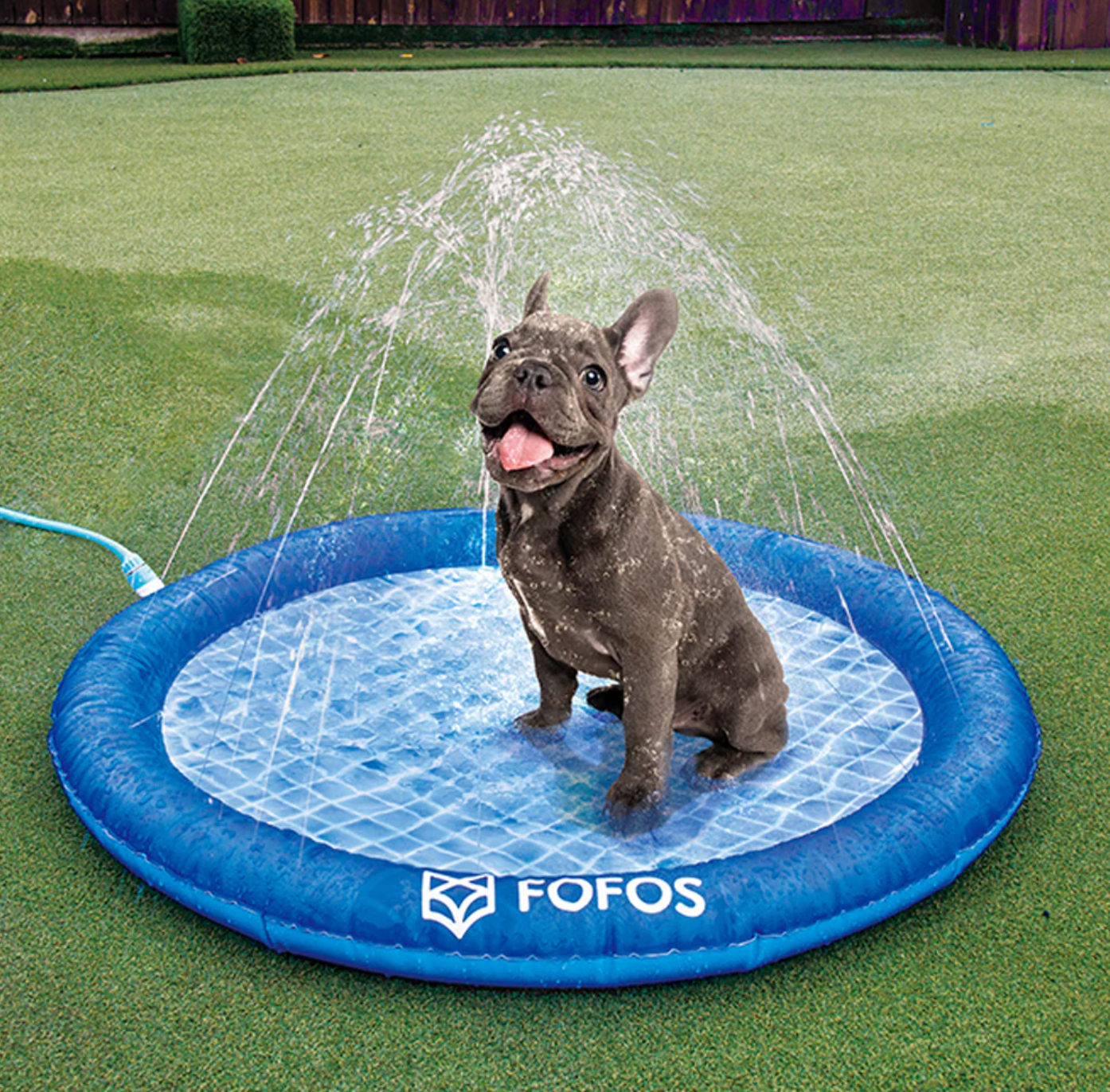 Inflatable Swimming Pet Pool | Sprinkler Pet Mat