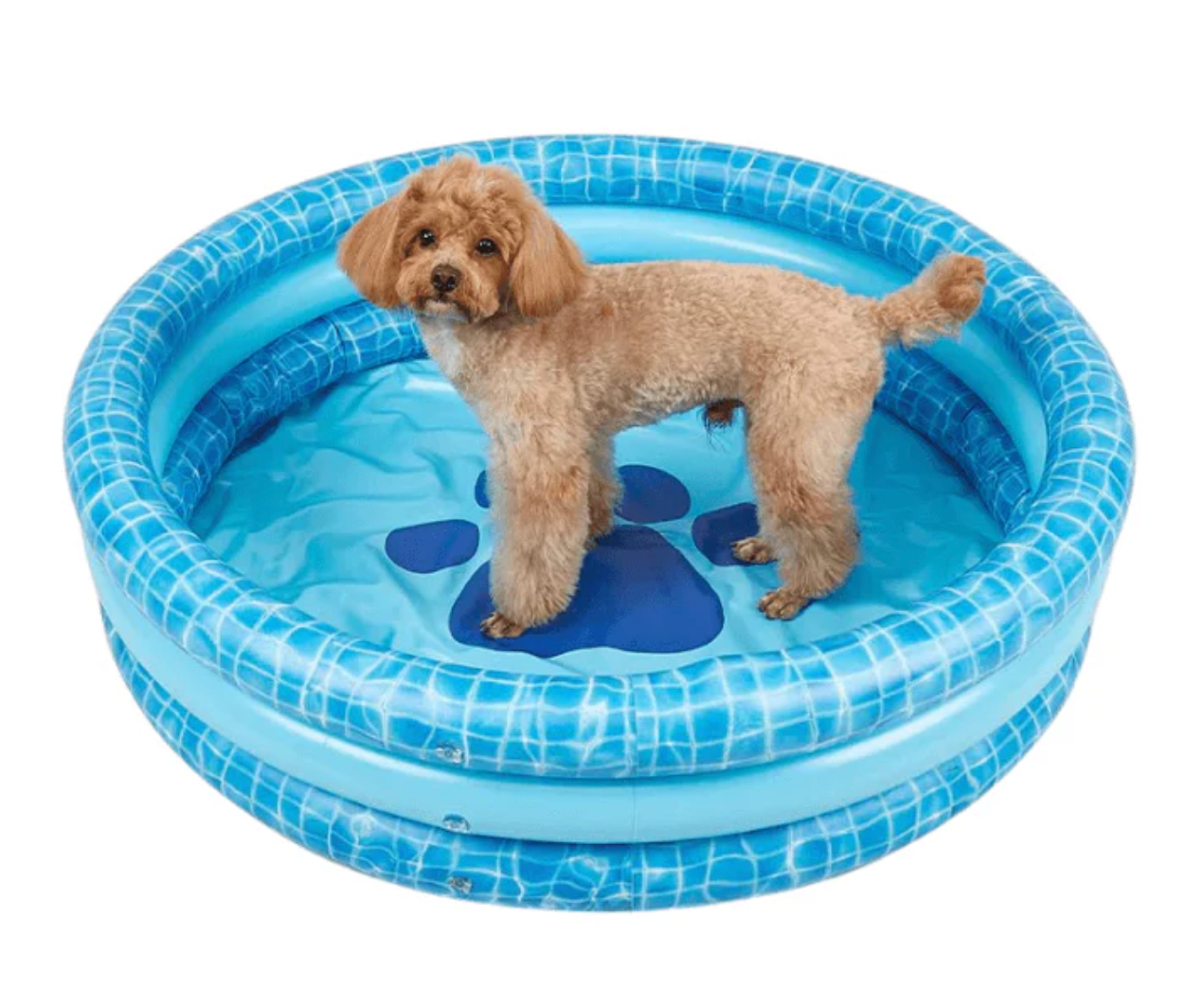 Inflatable Swimming Pet Pool 100cmx26cm