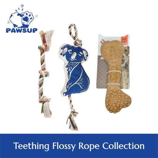 Teething Flossy Rope Dog Toy Collection