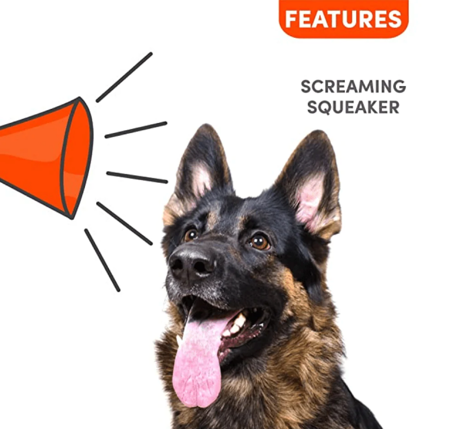 Carrot Veggie Bites Dog Toy | Floating Squeaky Chew Toy