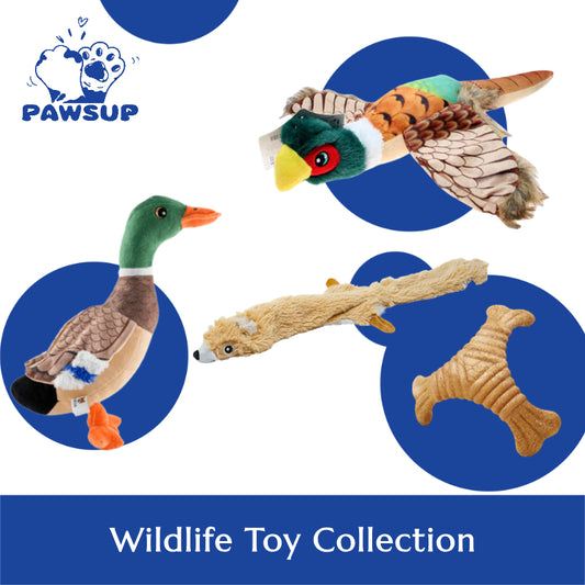 Wildlife Toy Collection
