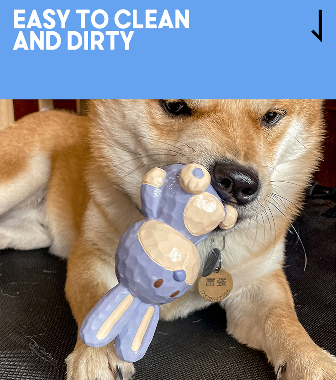 Carving Squeaky Rabbit | Natural latex | Dog Chew Toy