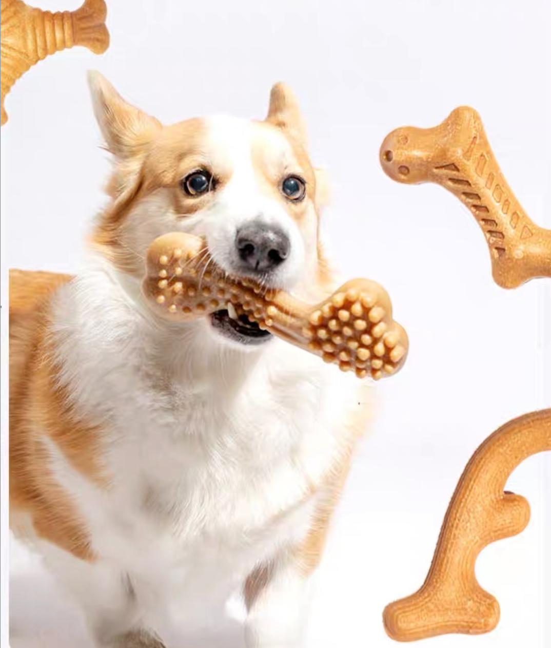 Stix Wooden Triangle | Dog Chew Toy | Massages Gums | Cleans Teeth