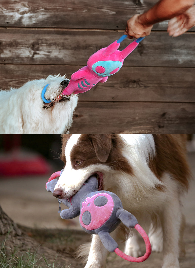 Handle Family Skeleton Rabbit Rope Rose Red | Dog Toy