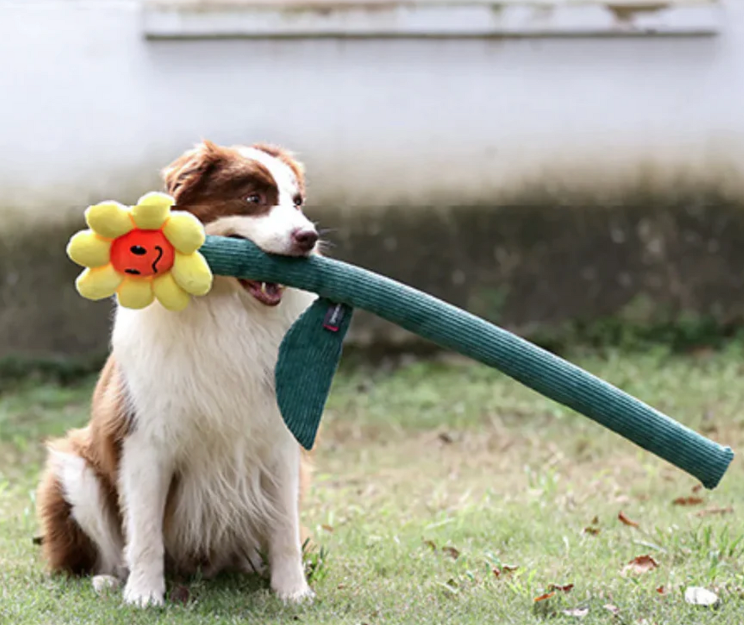 Giant Plush Flower Stick Sunflower | Dog Toy