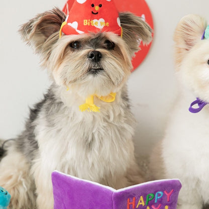 Paw-Birthday Card | Pet Toys | Dog Toys