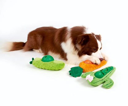 Veggie Lover | Cute Avocado | Treat Squeaky Dog Toy