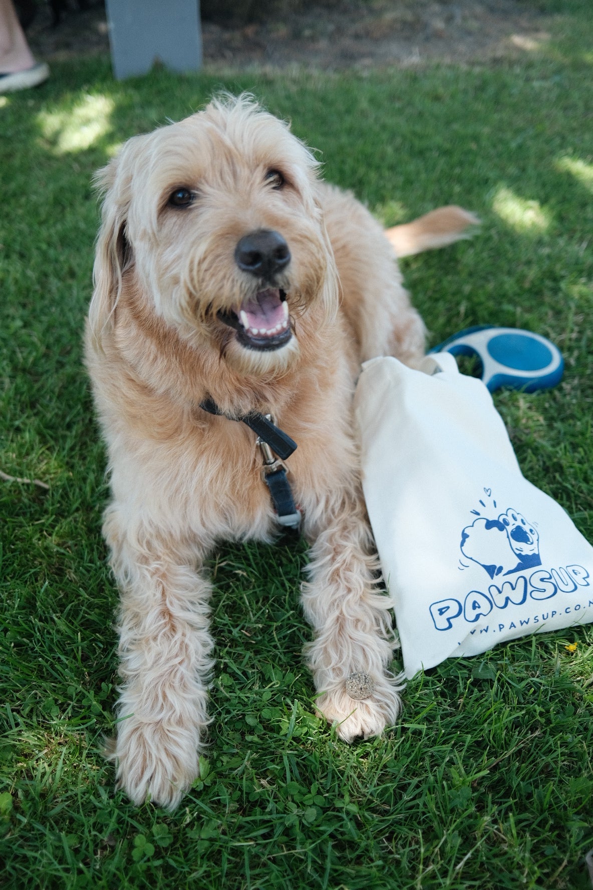 Paws Up Everyday Tote