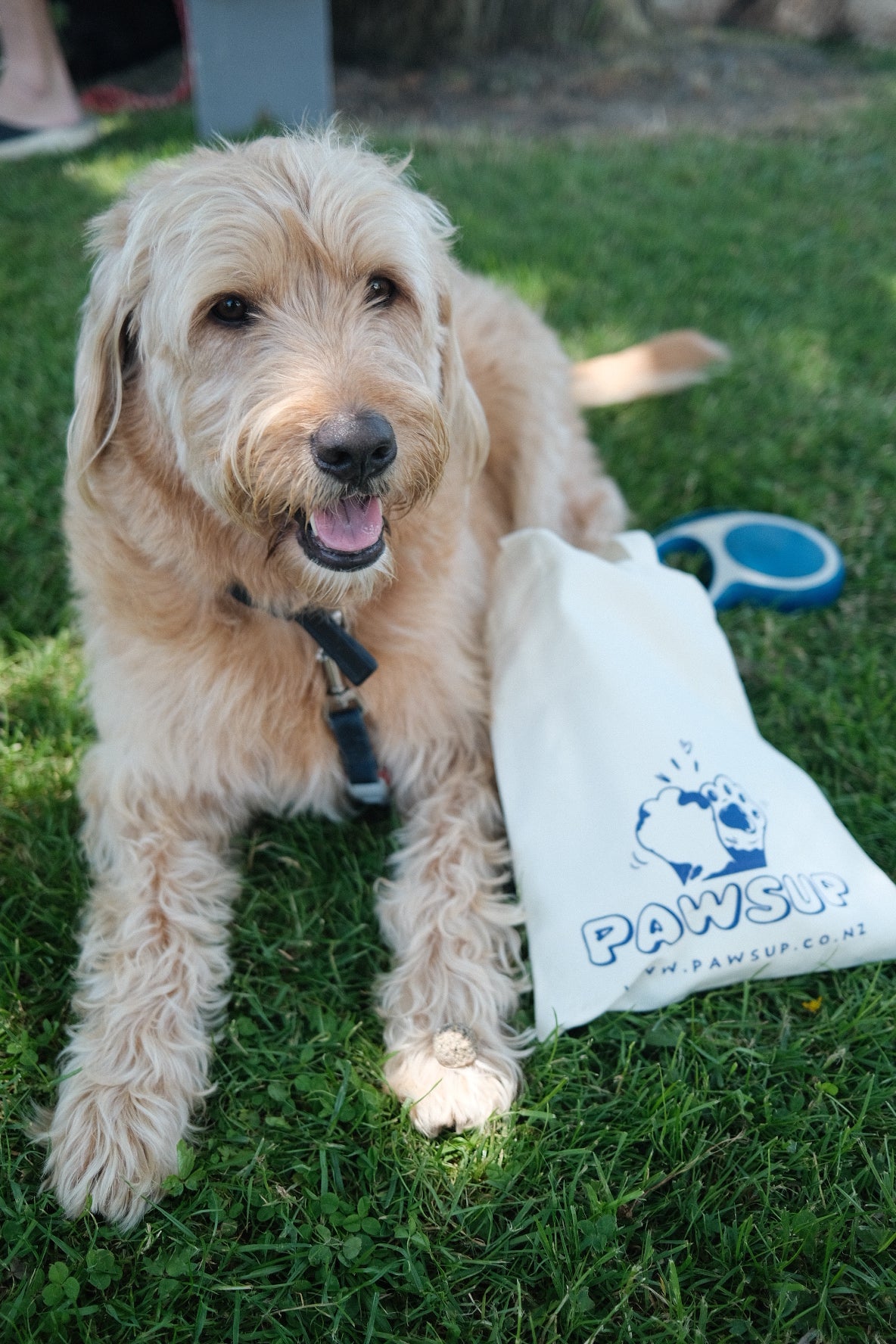 Paws Up Everyday Tote