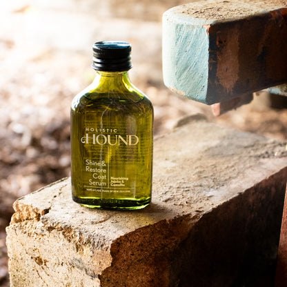 Holistic Hound Shine & Restore Dog Coat Serum 50ml