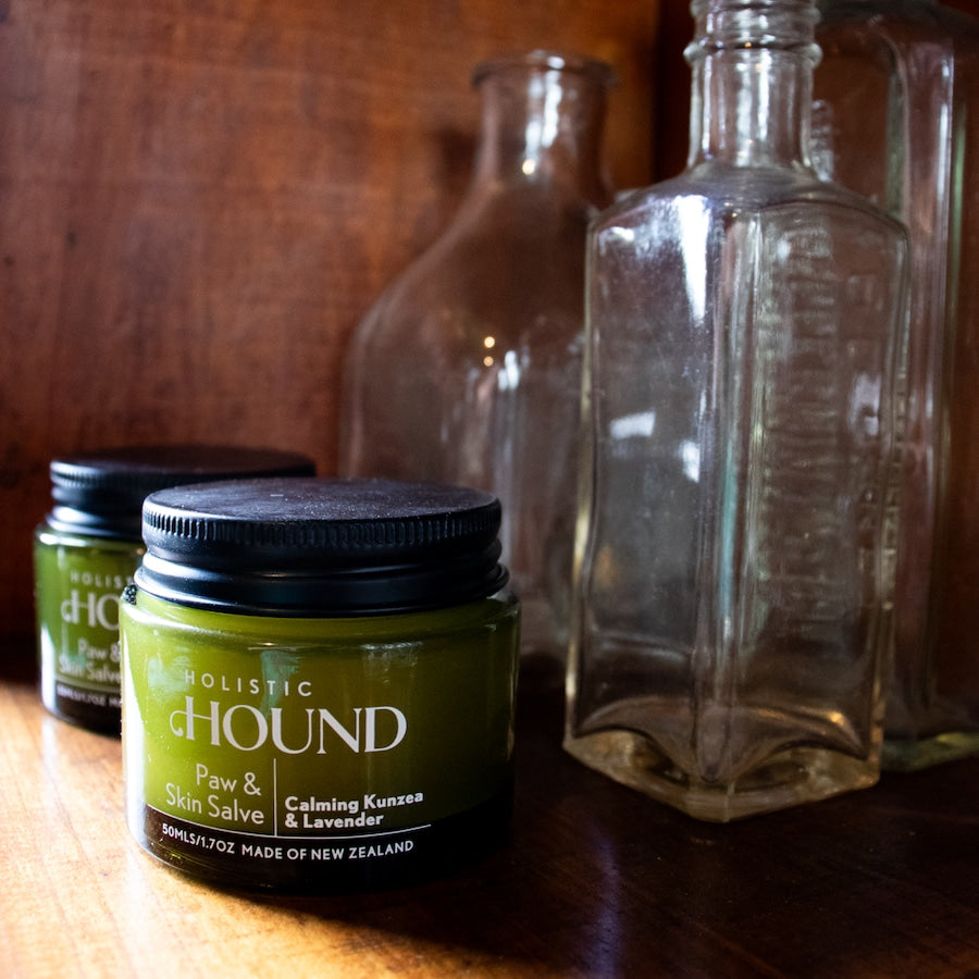 Holistic Hound Paw & Skin Salve 50mls / 1.7 oz