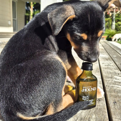 Holistic Hound Shine & Restore Dog Coat Serum 50ml