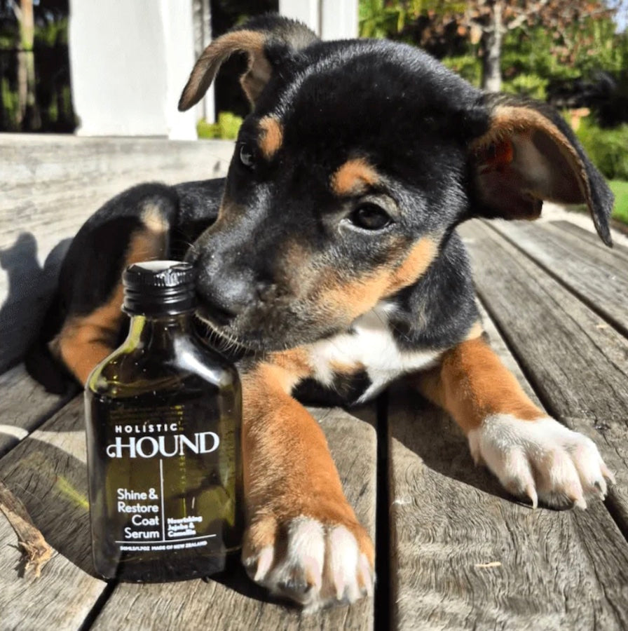 Holistic Hound Shine & Restore Dog Coat Serum 50ml