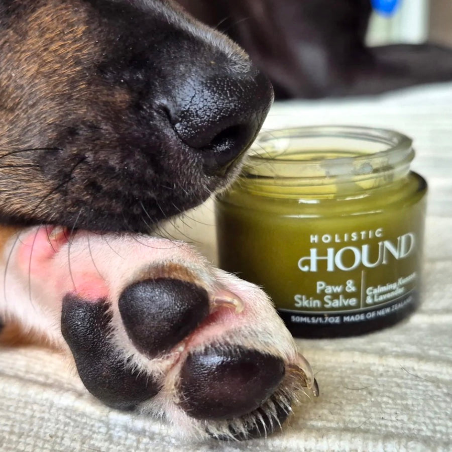Holistic Hound Paw & Skin Salve 50mls / 1.7 oz