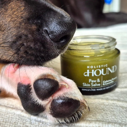 Holistic Hound Paw & Skin Salve 50mls / 1.7 oz