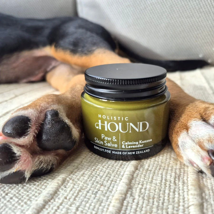 Holistic Hound Paw & Skin Salve 50mls / 1.7 oz