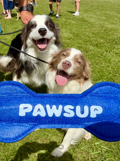 Pawsup | Signature Felt Rope Toy