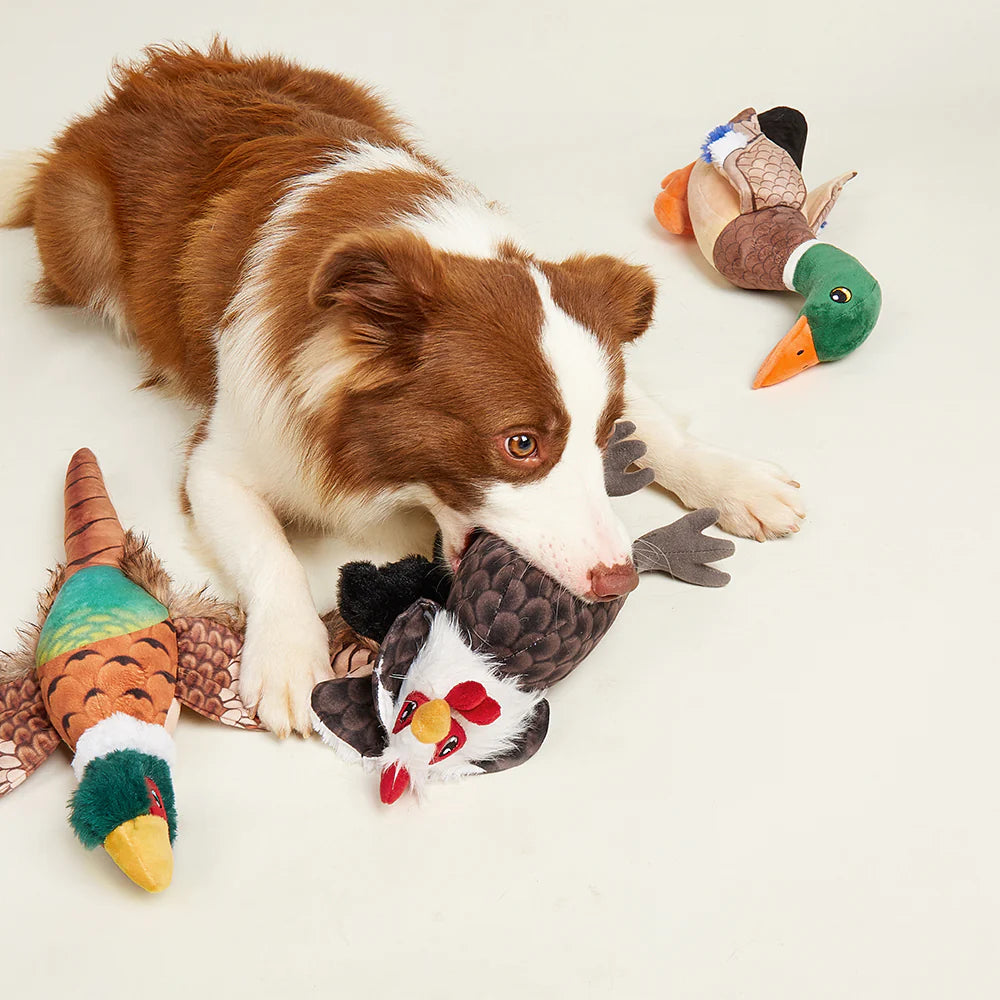 Pheasant Plush Dog Toy | Realistic Squeaky Toy for Dogs