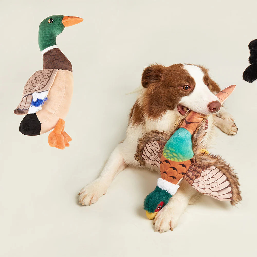 Pheasant Plush Dog Toy | Realistic Squeaky Toy for Dogs