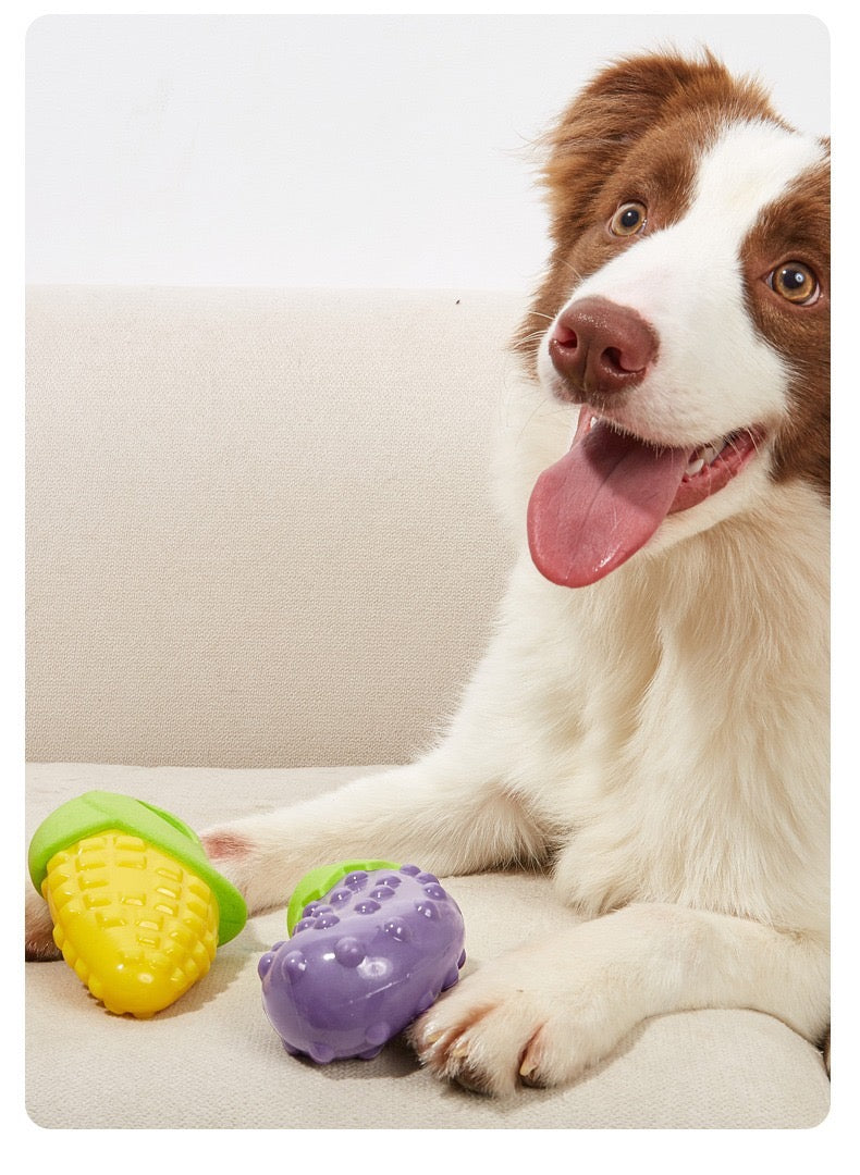 Veggie Bites Dog Toy Collection (Large)