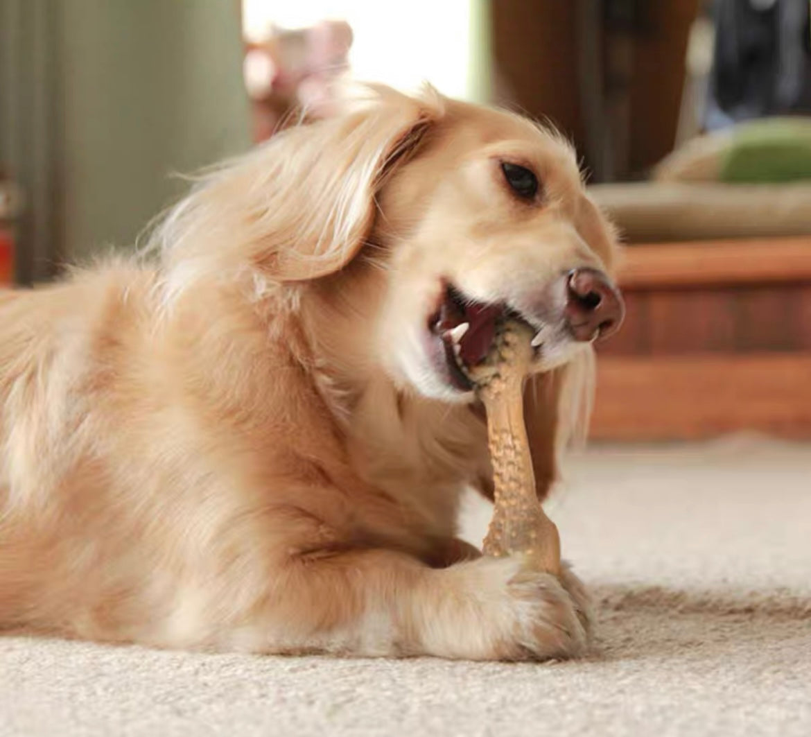 Stix Wooden Brush Bone | Dog Chew Toy | Massages Gums | Cleans Teeth