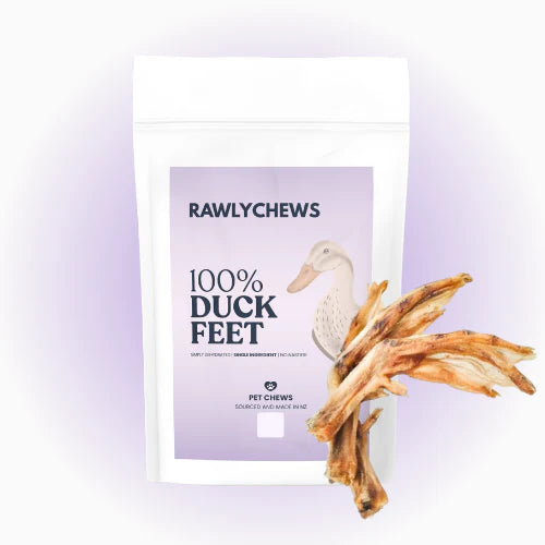 Rawly Chews Duck Feet