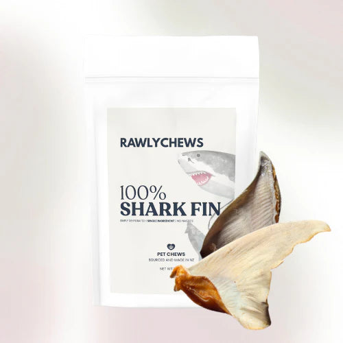 Rawly Chews Shark Fin 5 pcs